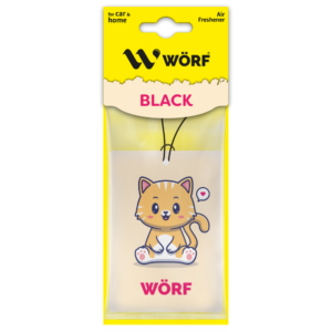 worf-oto-karton-koku-kedi
